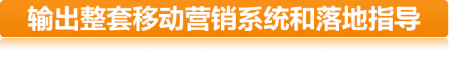 輸出整套移動營銷系統和落地指導