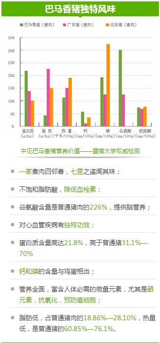 巴馬香豬