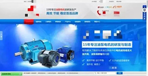 真身李逵：PC營銷型網站首屏