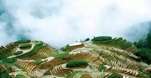 桂林