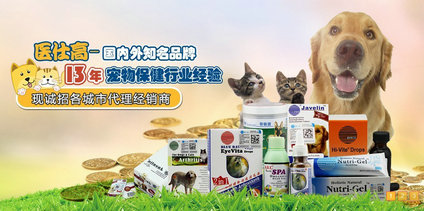 營銷型網站：醫仕高貿易成功案例分享