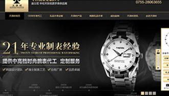 深圳天澤時(shí)科技營(yíng)銷型網(wǎng)站案例