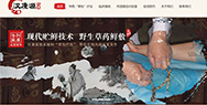 醫(yī)院網(wǎng)站建設(shè)方案，漢康源另辟蹊徑“掘金”