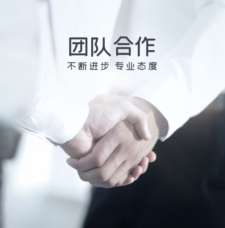 公司團隊