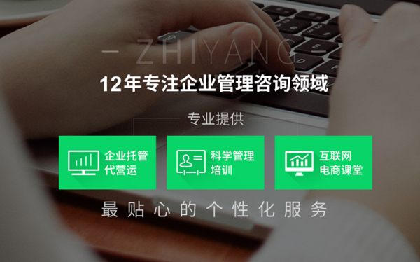 致?lián)P企業(yè)顧問-營(yíng)銷型網(wǎng)站案例展示