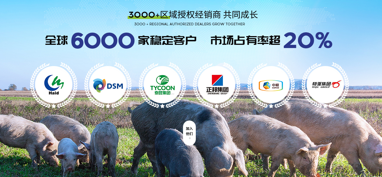 四川吉隆達(dá)生物科技集團(tuán)有限公司營銷型網(wǎng)站建設(shè)進(jìn)行中