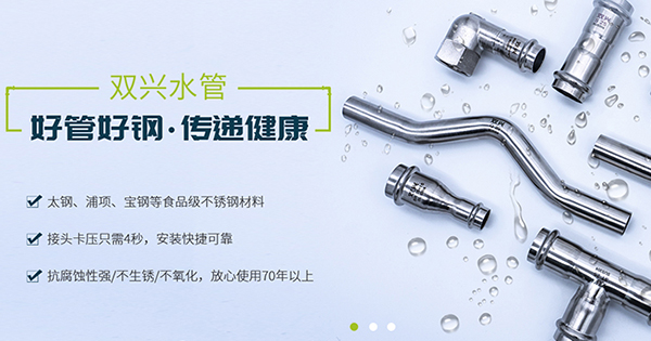 廣東雙興新材料集團有限公司營銷型網站建設進行中
