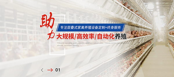 鄭州遠卓農牧設備有限公司營銷型網站建設進行中