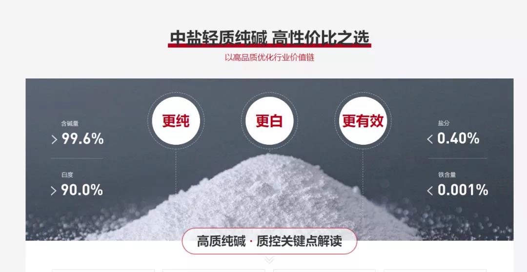 真實記錄大型央企的觸網(wǎng)之路